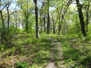image IMG_2026_4.jpg 