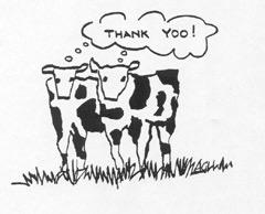 image achcows.jpg 