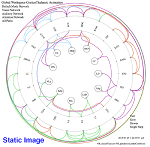 All CorticalThalamic Connections 