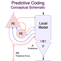 predictive coding diag 