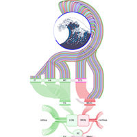 All CorticalThalamic Connections 