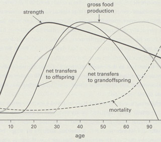 image SterlingFig5_1.jpg 