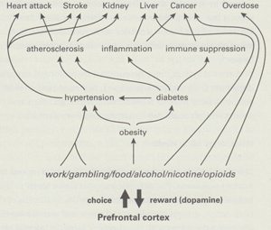 image SterlingFig6_6.jpg 