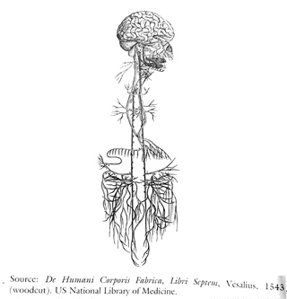 image PennartzFig9_6.jpg 