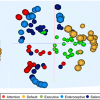 All CorticalThalamic Connections 