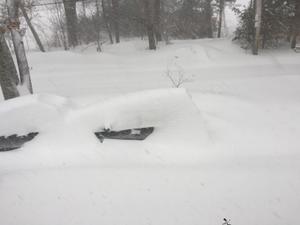 image IMG_5666.JPG 