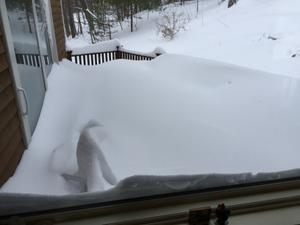 image IMG_5672.JPG 