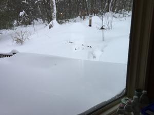 image IMG_5674.JPG 