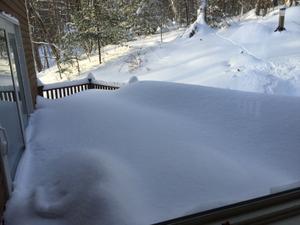 image IMG_5704.JPG 