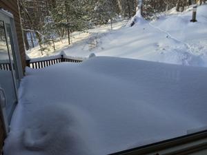 image IMG_5705.JPG 