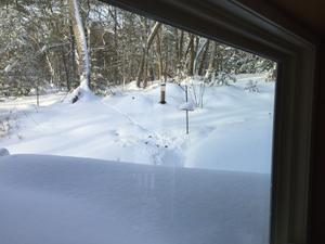image IMG_5706.JPG 