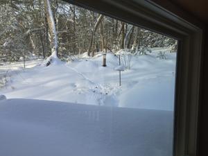 image IMG_5707.JPG 