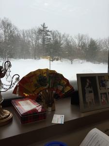 image IMG_5721.jpg 