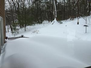 image IMG_5727.jpg 