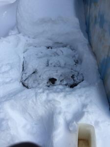 image IMG_5737.jpg 