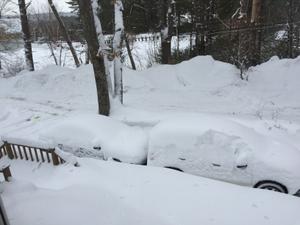 image IMG_5746.JPG 