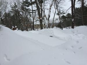 image IMG_5763.JPG 