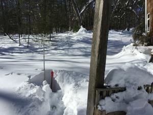 image IMG_5781_2.JPG 