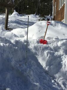 image IMG_5783.jpg 
