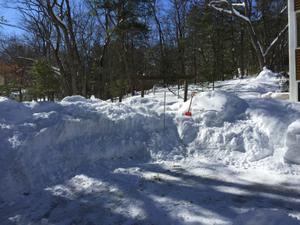 image IMG_5784_2.JPG 
