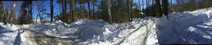 image IMG_5787.JPG 