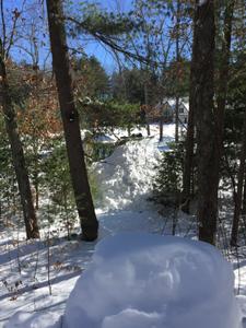 image IMG_5800_2.jpg 