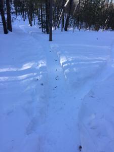image IMG_5802_2.jpg 