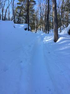 image IMG_5805_2.jpg 