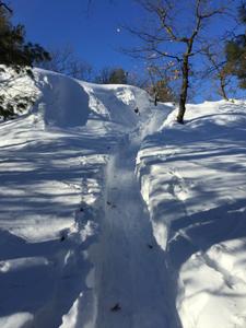 image IMG_5817_2.jpg 