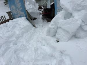 image IMG_5869.JPG 