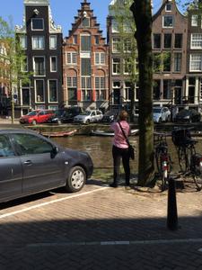 image IMG_8031.jpg 