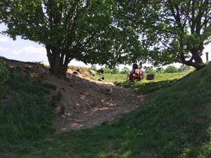 image IMG_8170.jpg 
