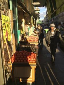 image IMG_0527.jpg 