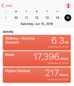 image StepsFlights2019.png 