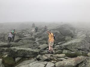 image IMG_1118.JPG 