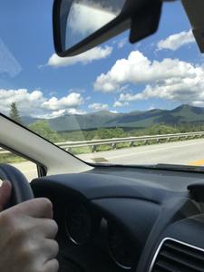 image IMG_1182.JPG 